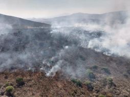 Hasta el momento las labores continúan en el sitio. ESPECIAL