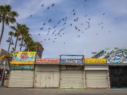 Aunque muchos de los encuestados esperan que la actividad general crecerá cuando reabran los negocios, las perspectivas siguen siendo altamente inciertas. AFP/ARCHIVO