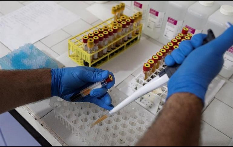 Senadores de PAN manifestaron su inconformidad ante el bajo número de test para detectar la enfermedad que se aplican en el país. EFE/E. Sahin