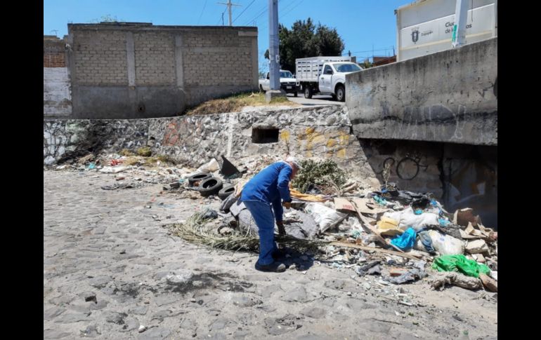 Detallan que 41 colonias se vieron beneficiadas con el retiro de dos mil 44 metros cúbicos de desechos sólidos, 165 llantas y mil 185 animales muertos. ESPECIAL/Ayuntamiento de Zapopan