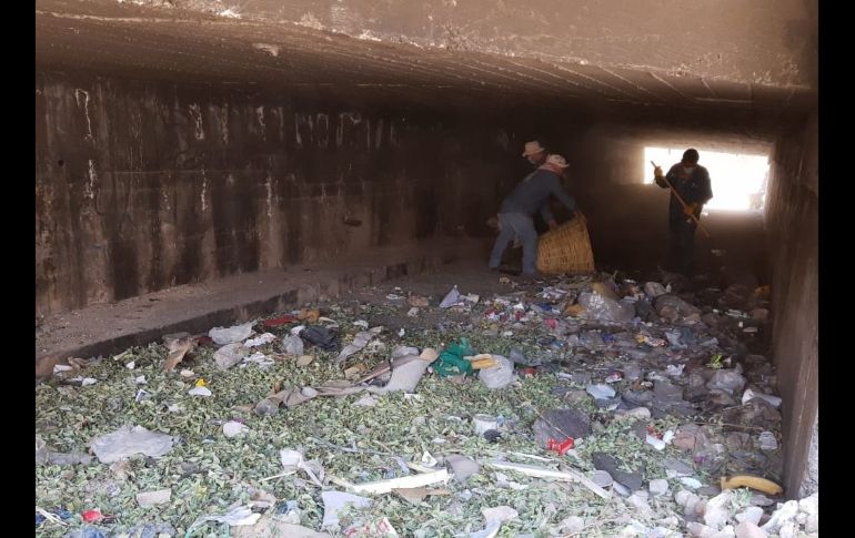 Detallan que 41 colonias se vieron beneficiadas con el retiro de dos mil 44 metros cúbicos de desechos sólidos, 165 llantas y mil 185 animales muertos. ESPECIAL/Ayuntamiento de Zapopan