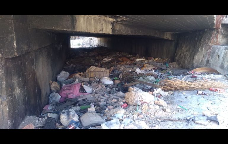 Detallan que 41 colonias se vieron beneficiadas con el retiro de dos mil 44 metros cúbicos de desechos sólidos, 165 llantas y mil 185 animales muertos. ESPECIAL/Ayuntamiento de Zapopan