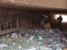 Detallan que 41 colonias se vieron beneficiadas con el retiro de dos mil 44 metros cúbicos de desechos sólidos, 165 llantas y mil 185 animales muertos. ESPECIAL/Ayuntamiento de Zapopan