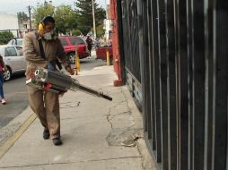 Los brigadistas cuentan con chaleco y credenciales que los identifican como parte de la Secretaría de Salud; tras hacer su labor, se retiran sin pedir apoyos o hacer preguntas. EL INFORMADOR/ARCHIVO
