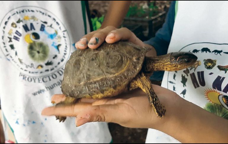 Hace 23 años inició HUNAB Proyecto de vida, una Asociación Civil semillera de líderes ambientales a través de la educación.