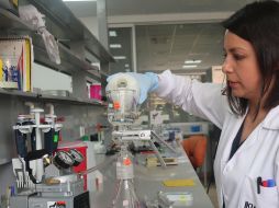 Sergio López-Ayllón, director del Centro de Investigación y Docencia Económicas, dijo que los estudiantes 