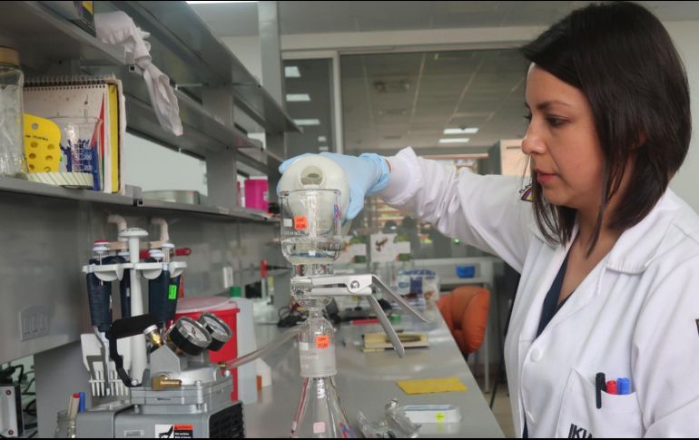 Sergio López-Ayllón, director del Centro de Investigación y Docencia Económicas, dijo que los estudiantes 