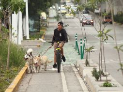 En junio del año pasado que la red de infraestructura ciclista estaba conformada por 123 kilómetros de ciclovías. EL INFORMADOR / ARCHIVO