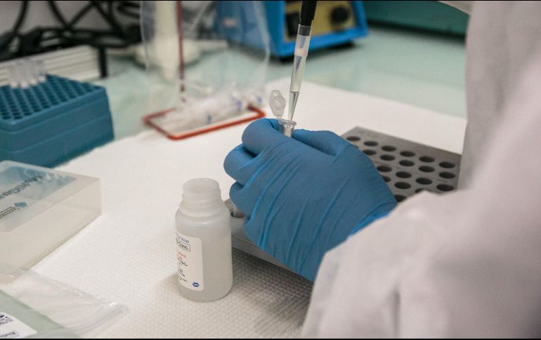 Brasil, con 555 mil 383 diagnósticos y 31 mil 199 decesos, es el segundo país con más casos de COVID-19 y el cuarto por número de fallecidos desde el comienzo de la pandemia. AFP / ARCHIVO