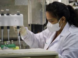 Aunque hay múltiples equipos alrededor del mundo buscando una vacuna contra el covid-19, no hay garantía de que la encuentren. EPA