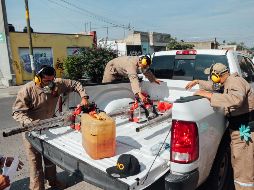 En 2019, Jalisco fue el Estado más afectado en el país al registrar 11 mil 727 casos. EL INFORMADOR / ARCHIVO