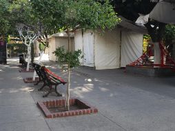 María Elena Limón reitera que no se pueden reactivar las actividades que generen aglomeración de personas. ESPECIAL/Gobierno de Tlaquepaque