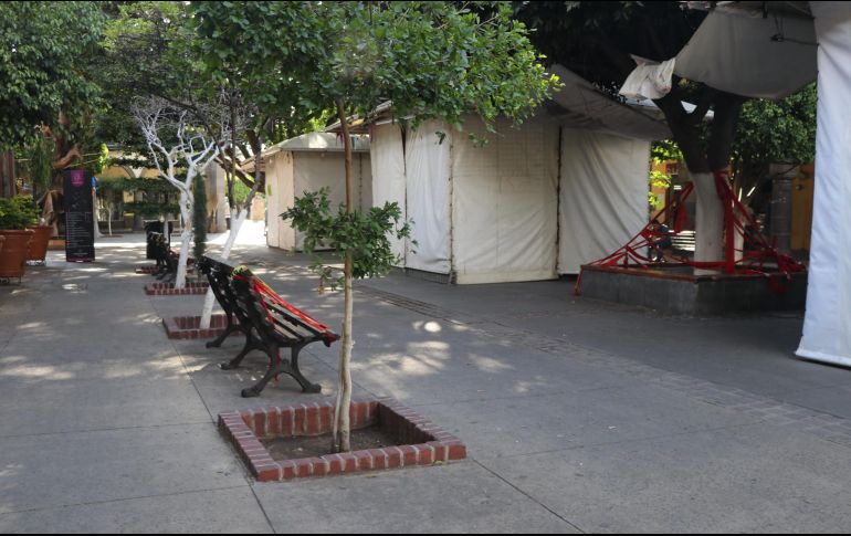 María Elena Limón reitera que no se pueden reactivar las actividades que generen aglomeración de personas. ESPECIAL/Gobierno de Tlaquepaque