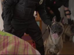 Fernando Bonilla, Regina Blandon y Darío Yazbek forman parte del elenco. ESPECIAL