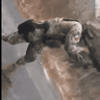 Registran emboscada a elementos de Marina en Michoacán