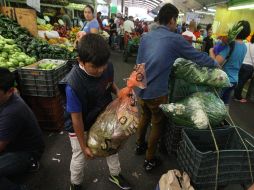 La Organización Internacional del Trabajo estima que hay 10.5 millones de niños trabajando actualmente en AL. EL INFORMADOR/ARCHIVO