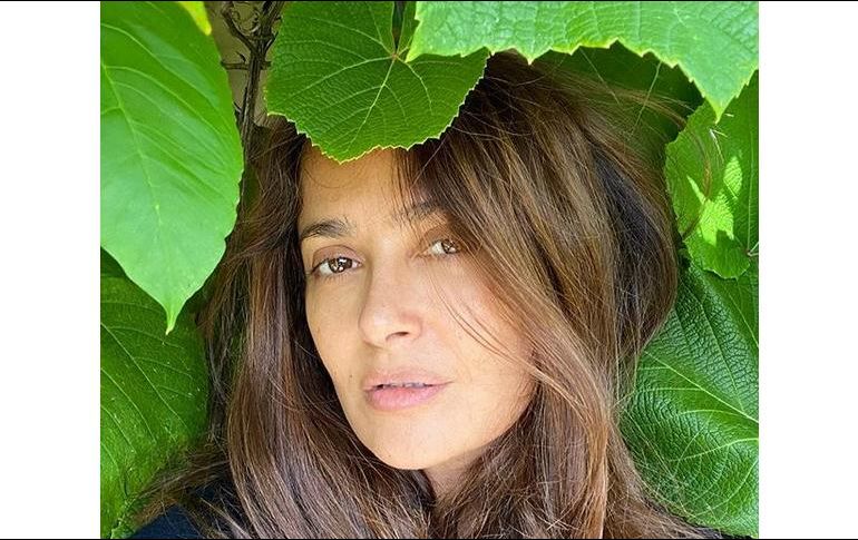 La publicación de Salma alcanzó más de los 300 mil 