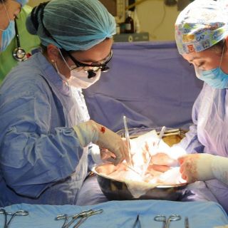 Virus frena trasplantes: 5 mil 533 afectados en Jalisco