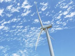 Hasta la fecha, suman más de 40 los amparos presentados ante la nueva política energética. NTX/ARCHIVO