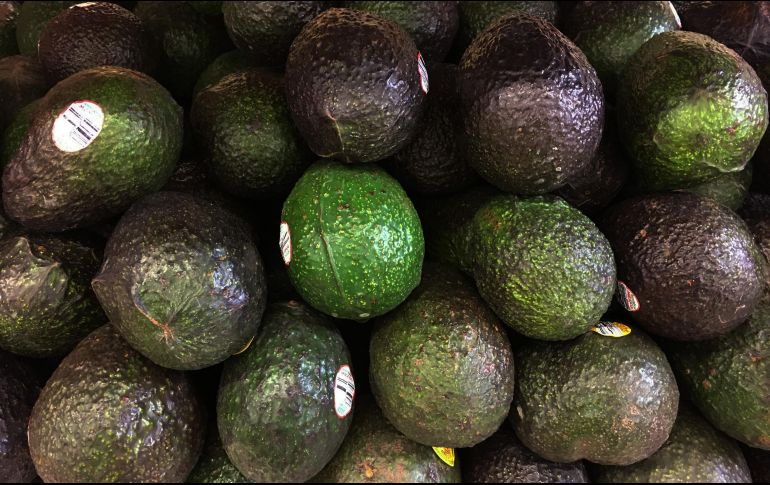 Los productos con mayores incrementos en exportaciones fueron el aguacate, tequila, mezcal y tomate. NTX / ARCHIVO