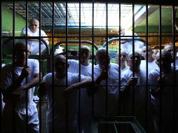 Un grupo de derechos humanos señala que el Departamento de Correccionales de Florida ha tolerado 