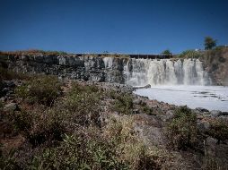 El presidente de la Comisión Estatal de Derechos Humanos dijo que ya se ha solicitado información a todas las autoridades involucradas sobre la situación del Río Santiago. EL INFORMADOR / ARCHIVO