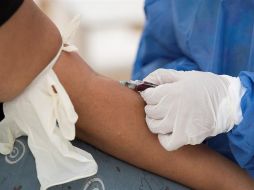 Se determinó que la dependencia es competente para conocer la información, y debe entregarla con el desglose requerido en el periodo solicitado. EFE/O. Barría