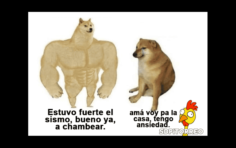 Brotan memes tras el fuerte sismo de hoy en Oaxaca que se sintió en CDMX