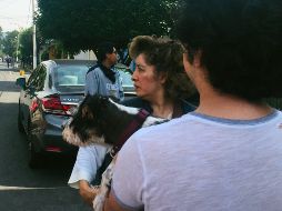 Cerca de las 10:30 horas de este martes, un sismo de 7.5 con epicentro en Oaxaca remeció a la Ciudad de México y otros estados de la República. EFE / J. Núñez