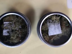 Ocultan droga en botes de crema facial en paquetería en Puerto Vallarta