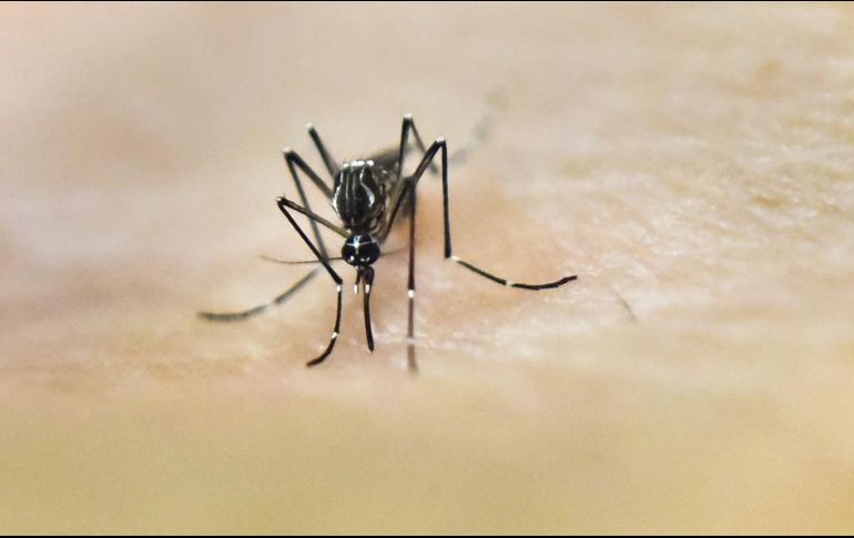 Jocotepec se encuentra en tercer lugar de los municipios con mayor tasa de incidencia. AFP/ARCHIVO