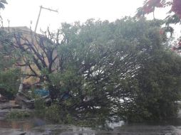 Ignoran los atlas de riesgos pese a daños por lluvias y sismos