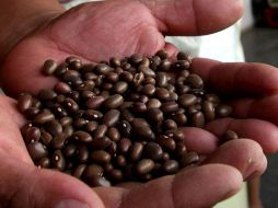 En la primera quincena de junio los precios aumentaron 34.1% con respecto a la primera mitad de junio de 2019. SUN/ARCHIVO