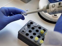 Guadalajara, Tlaquepaque, Zapopan y Puerto Vallarta concentran la mayor cantidad de muertes. EFE/R. Wittek