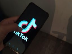 India es el mayor mercado en usuarios de TikTok después de China.  EL INFORMADOR