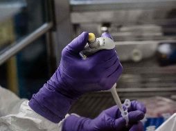 El proyecto también recibirá apoyo sobre propiedad industrial e intelectual. AFP/ARCHIVO