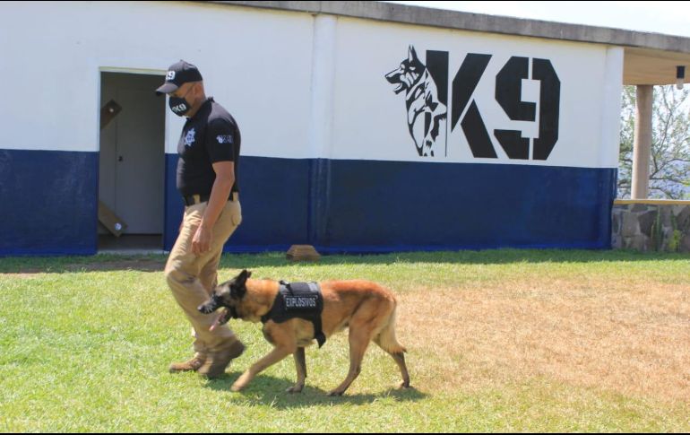 ESPECIAL/Policía de Guadalajara