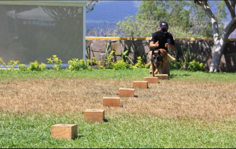 ESPECIAL/Policía de Guadalajara