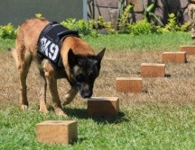 ESPECIAL/Policía de Guadalajara