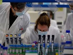 El Consejo Indio de Investigación Médica comunicó que el proceso 