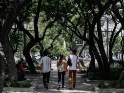 La movilidad en el estado se ubicó en 71%, respecto al 69% de semanas pasadas. EL INFORMADOR/G. Gallo