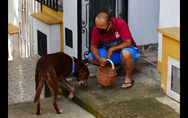 Un cliente le da al perro zanahorias como 