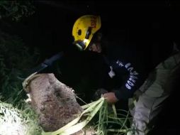 Rescatistas valoran las maniobras que realizarán para rescatar al sujeto señalado, hasta el momento se desconoce si presenta alguna lesión. ESPECIAL/Bomberos de Guadalajara