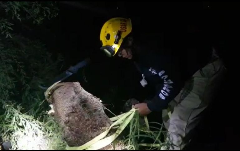Rescatistas valoran las maniobras que realizarán para rescatar al sujeto señalado, hasta el momento se desconoce si presenta alguna lesión. ESPECIAL/Bomberos de Guadalajara