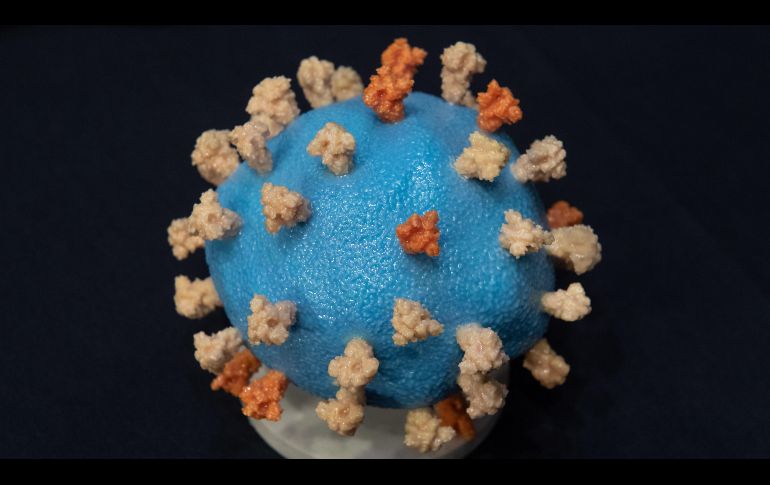 Celltrion espera comenzar ensayos clínicos en humanos el 16 de julio, y que si las pruebas tienen éxito, fabricar 5 millones de dosis en la primera mitad de 2021. EFE/S. Loeb