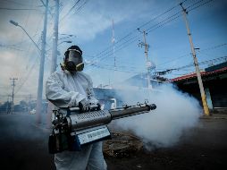 Zapotitlan de Vadillo, San Gabriel y Techaluta de Montenegro se mantienen en los primeros lugares. EL INFORMADOR/ARCHIVO