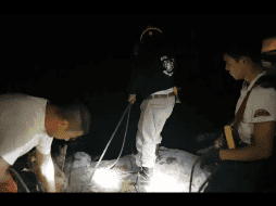 Debido a la profundidad del barranco, la Policía solicitó el apoyo de Bomberos y Protección Civil de Guadalajara para proceder al rescate. TWITTER/@PCYBOMGDL