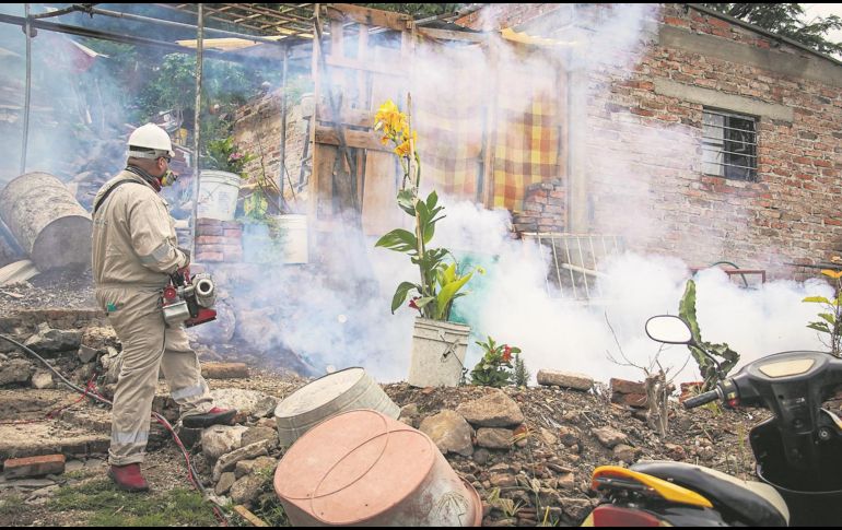 Según las proyecciones, Jalisco tendrá, en el peor escenario, 18 mil afectados por dengue este año. ESPECIAL