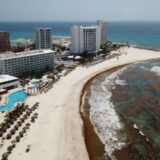 La Semar alerta por llegada masiva de sargazo a Yucatán