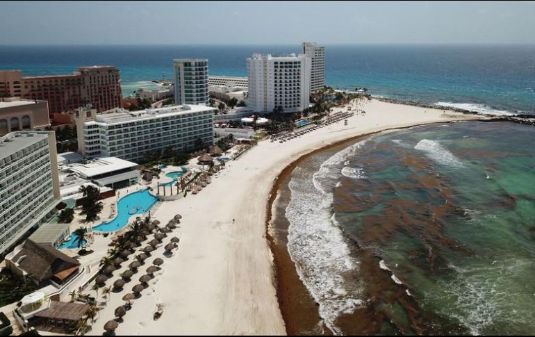 Unas cuatro mil toneladas de sargazo se dirigen a Quintana Roo. EFE/ARCHIVO